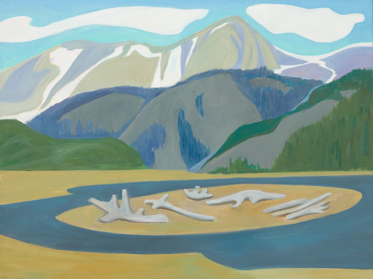 The Driftwood Island by Doris Jean McCarthy