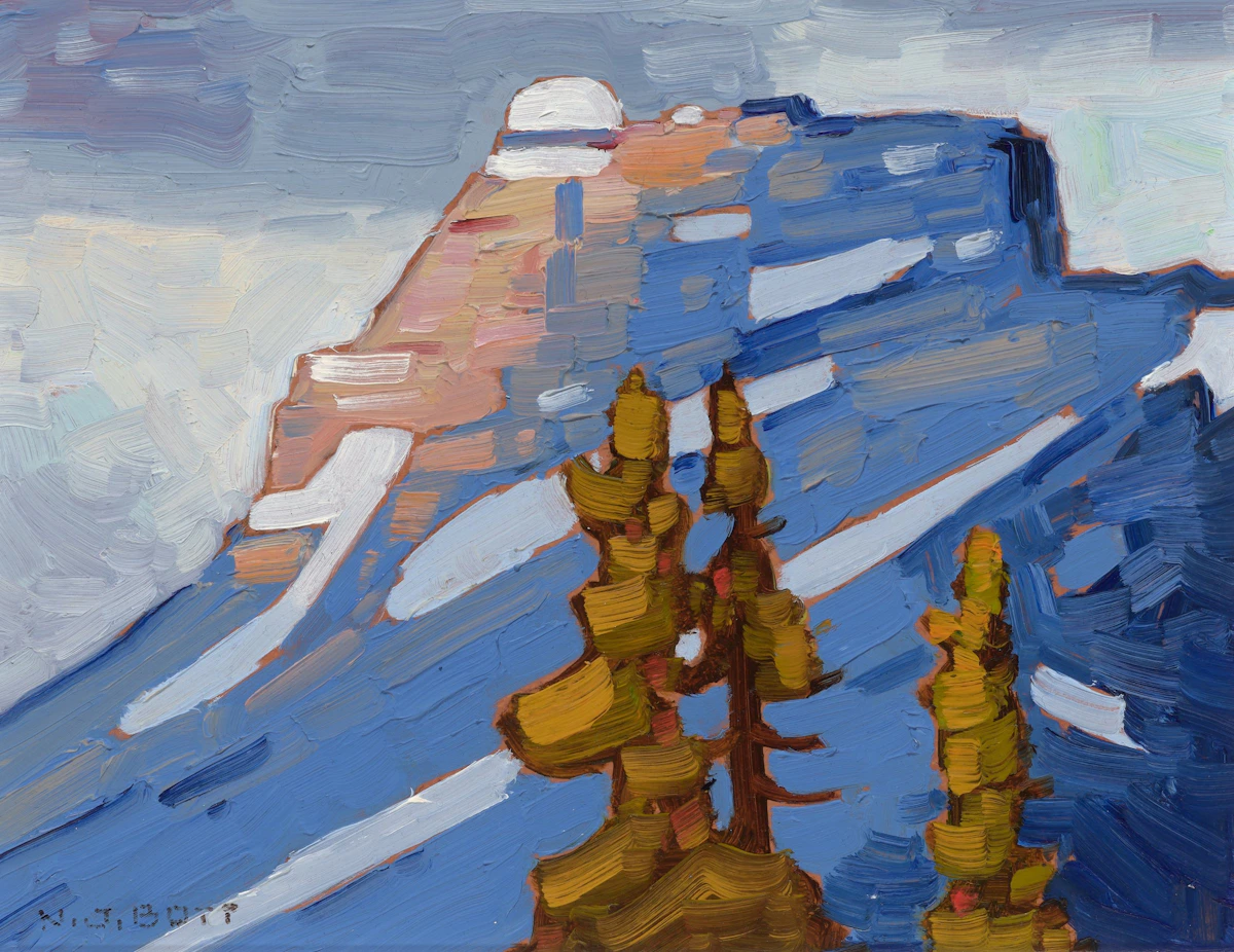 Mountain Gleam by Nicholas J. Bott