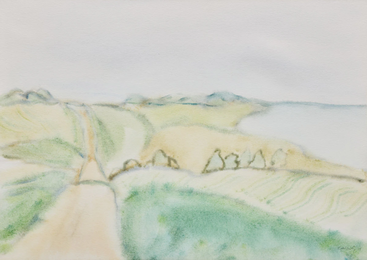 Two Untitled Landscapes by Catherine McAvity