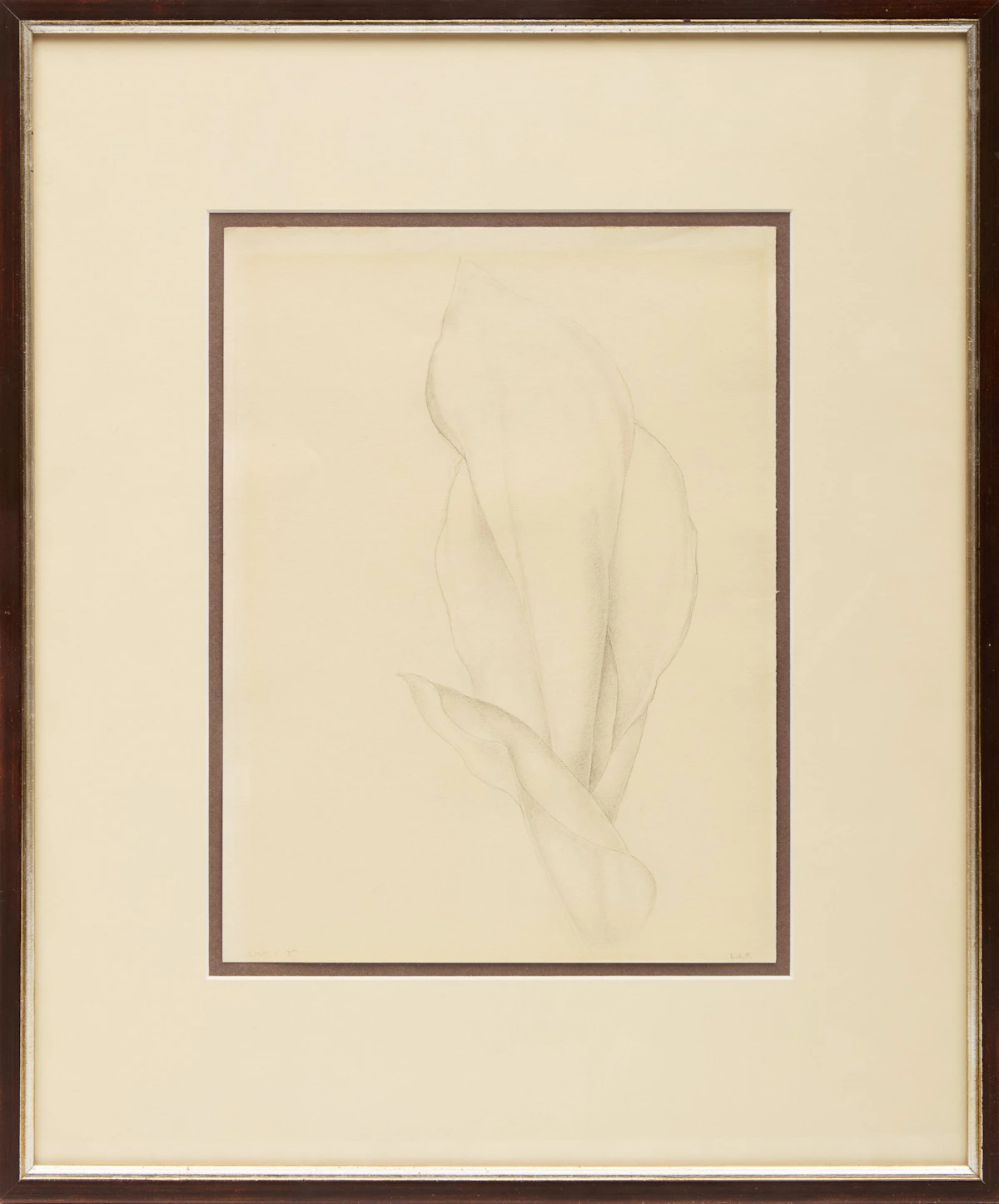 Lionel LeMoine FitzGerald, Floral Studies, two drawings - view 5