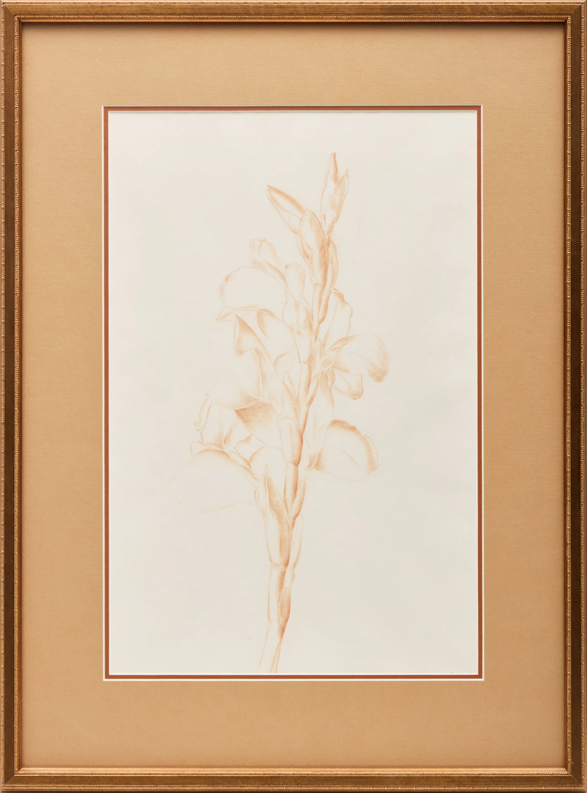 Lionel LeMoine FitzGerald, Floral Studies, two drawings - view 2