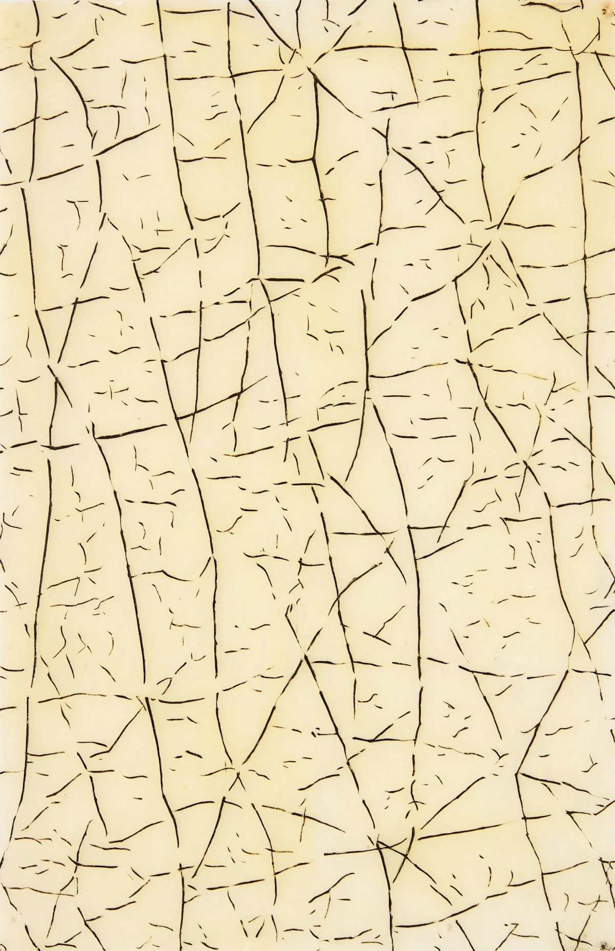 Evan Penny, Skin #1, bleached beeswax, intaglio and oil on 60 panels, 1990 - view 3