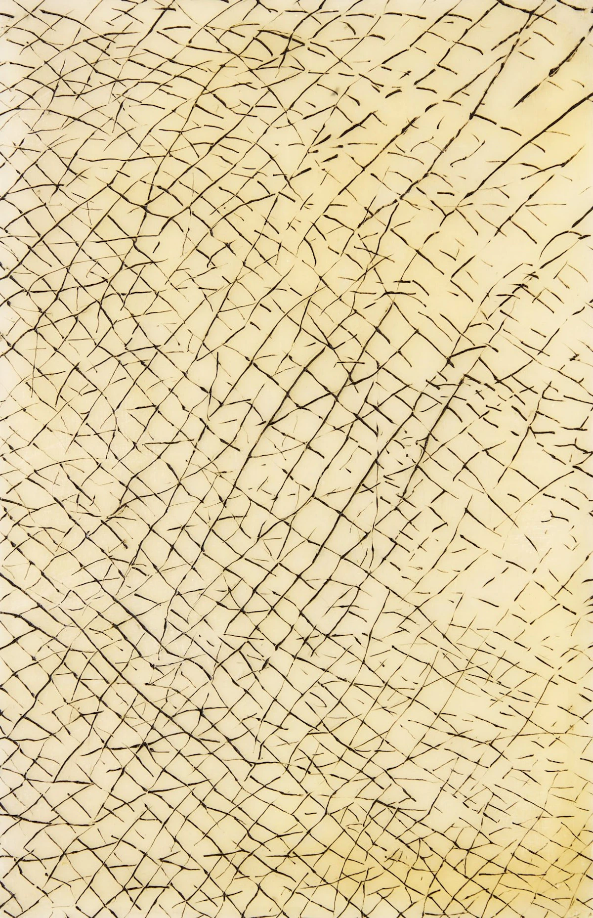 Evan Penny, Skin #1, bleached beeswax, intaglio and oil on 60 panels, 1990 - view 2