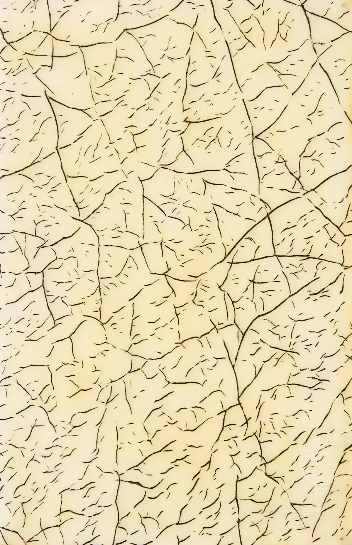 Evan Penny, Skin #1, bleached beeswax, intaglio and oil on 60 panels, 1990 - view 4
