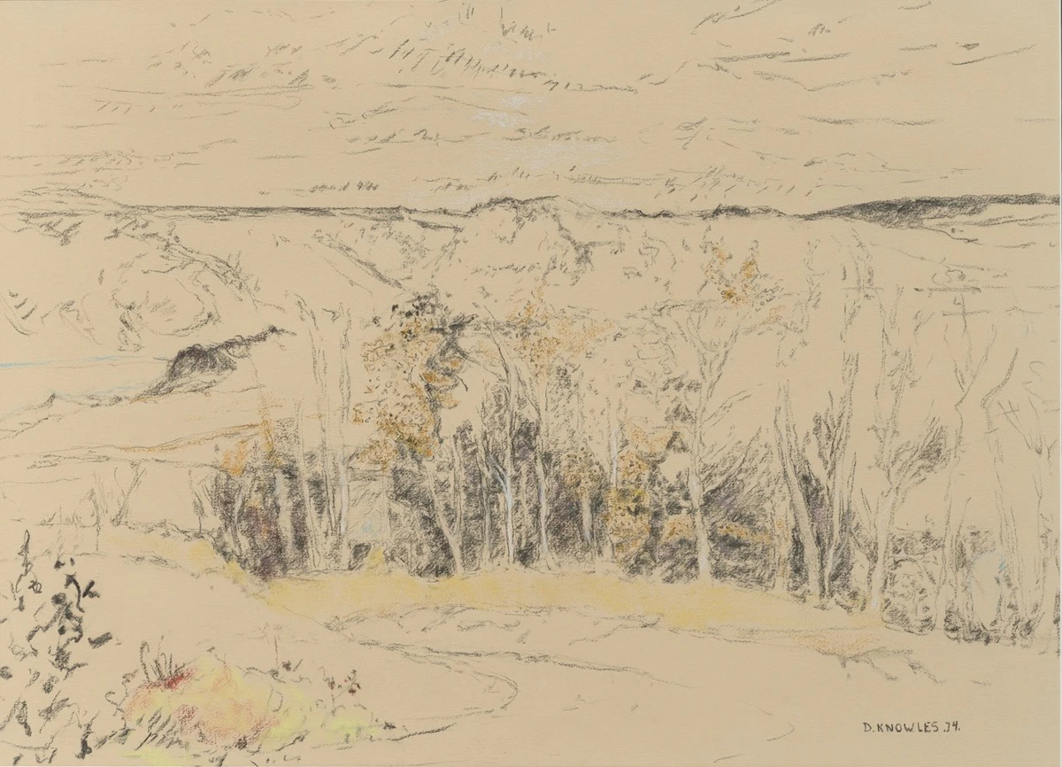 Dorothy Elsie Knowles, Untitled, watercolour, pastel and charcoal