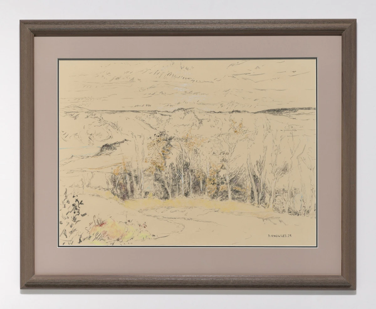 Dorothy Elsie Knowles, Untitled, watercolour, pastel and charcoal, 1974 - view 2