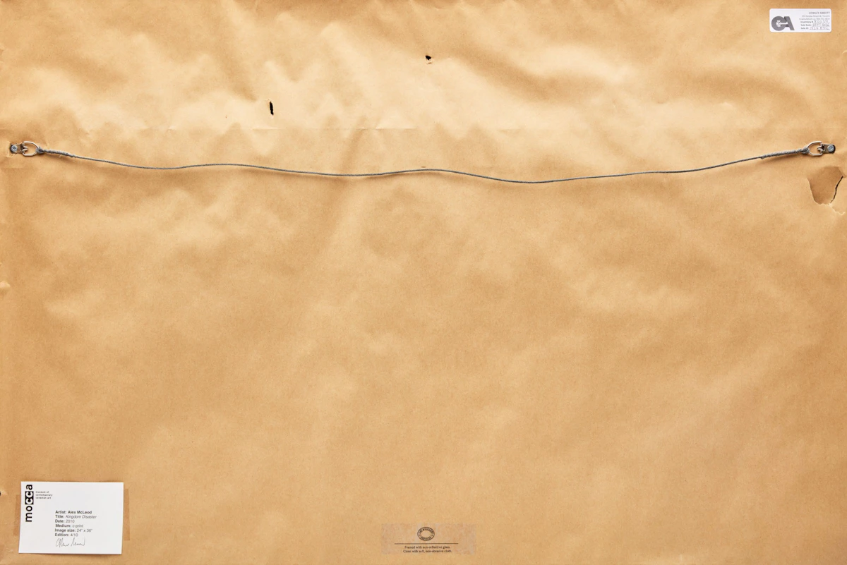 Alex McLeod, Kingdom Disaster, c-print, 2010 - view 3