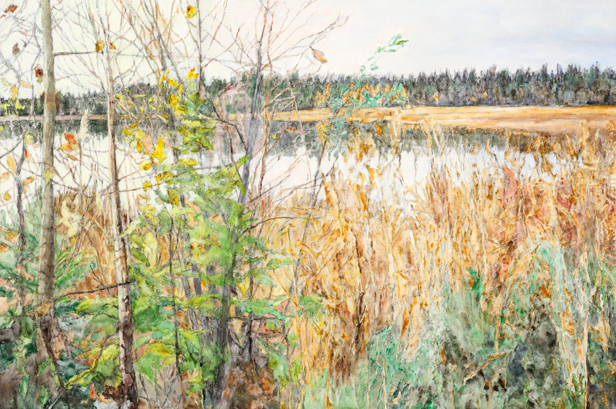 Shore at Emma Lake by Dorothy Elsie Knowles