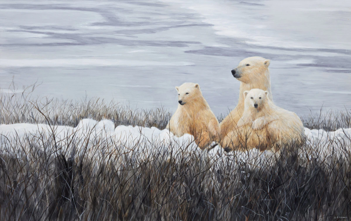 Glacial Tenderness: Bond of Ice by Terry Isaac