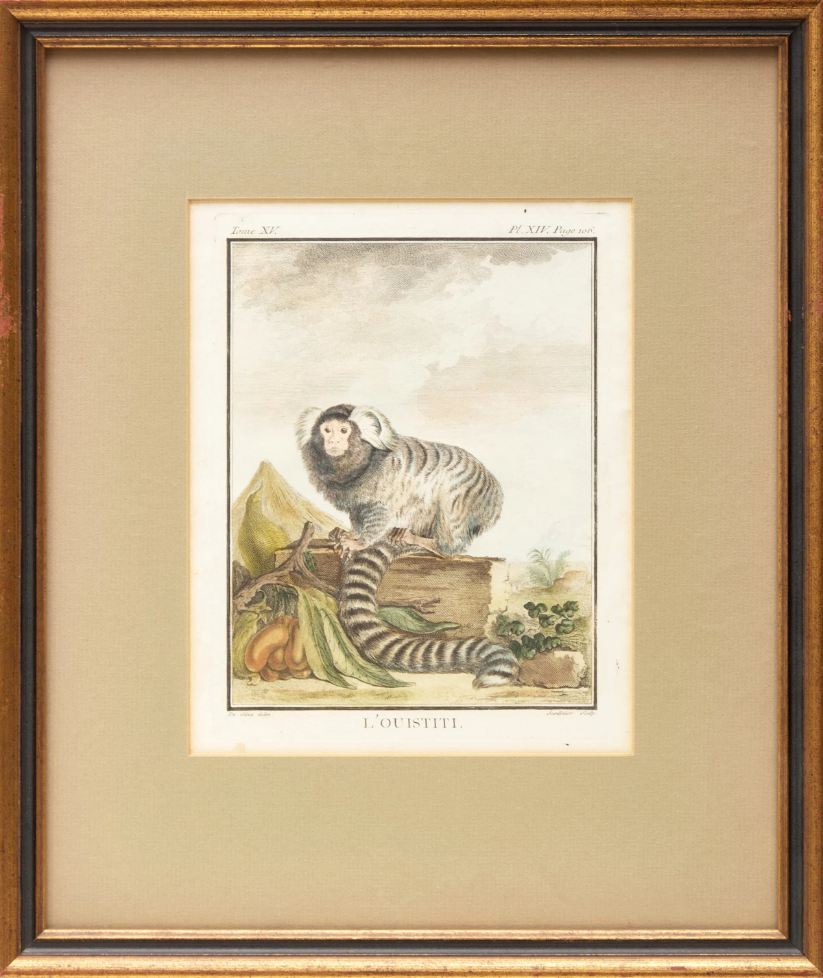 Jacques Eustache de Sève, A Set of Four Monkeys, four coloured engravings - view 8