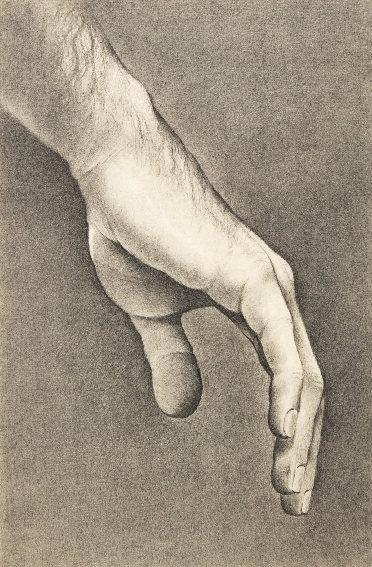 Michael Thompson, Hand Study II, Hand Study III and Hand Study IV, three graphite on paper drawings, 1982 - view 4
