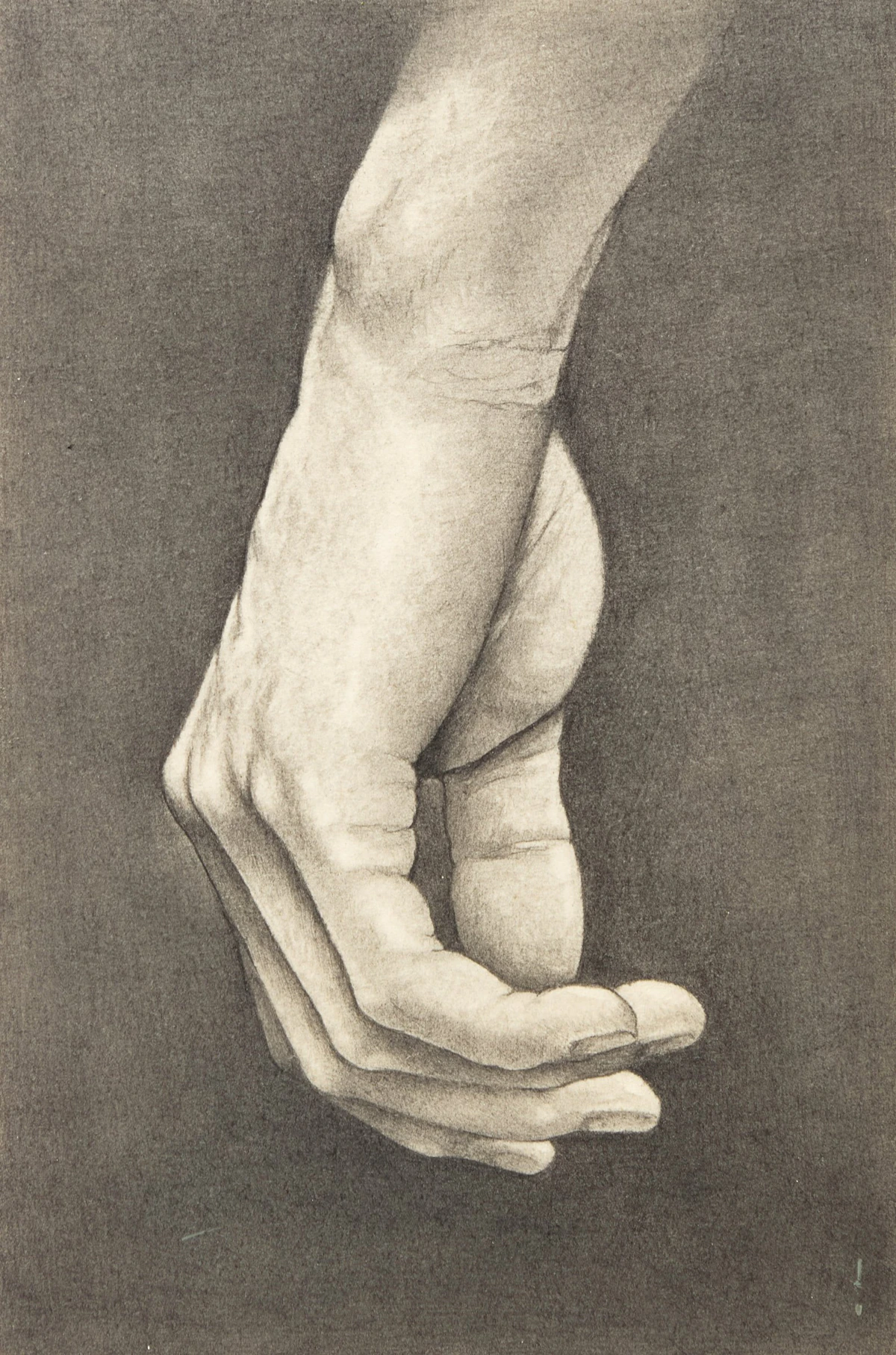 Hand Study II; Hand Study IV by Michael Thompson