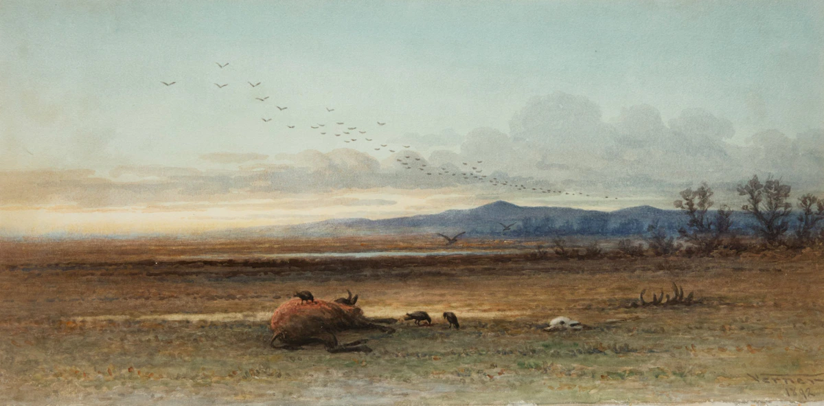 Frederick Arthur Verner, Dead Buffalo with Vultures, watercolour and pencil on paper