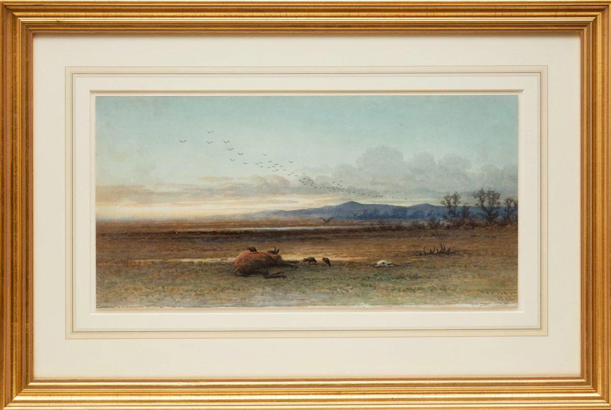 Frederick Arthur Verner, Dead Buffalo with Vultures, watercolour and pencil on paper, 1892 - view 2