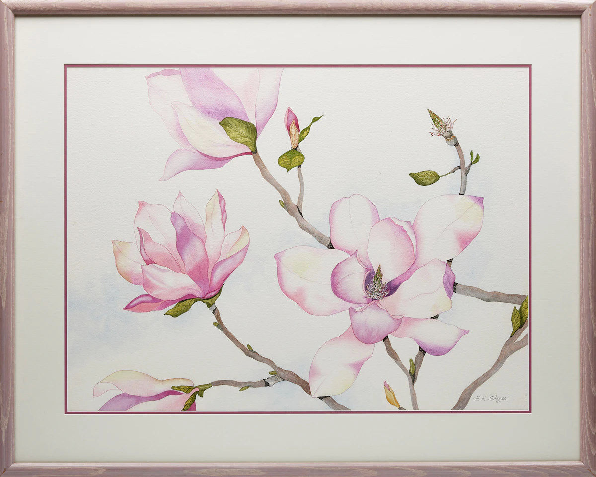 F. Eleanor Johnson, Magnolia, watercolour on paper - view 2