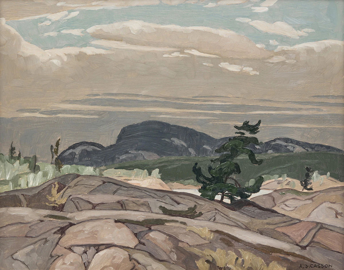The Canadian Landscape