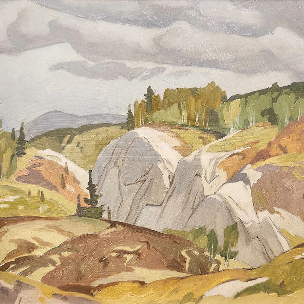 The Canadian Landscape